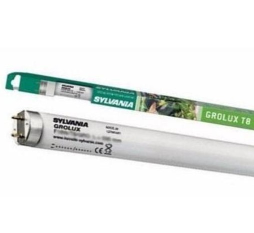 Sylvania Gro-lux – Lampe Fluorescente F8 W/gro Online Kaufen